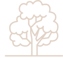 web design icon - tree represents growth